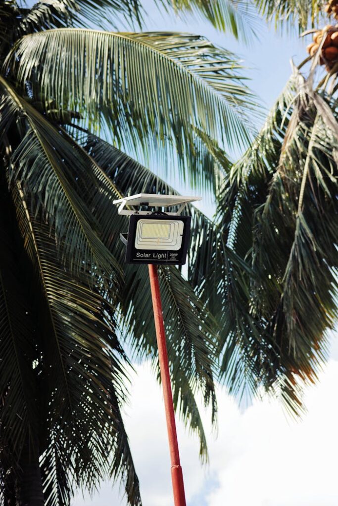 Solar light streetlamp on tall post placed near lush green leaves of palm against blue sky on sunny summer day